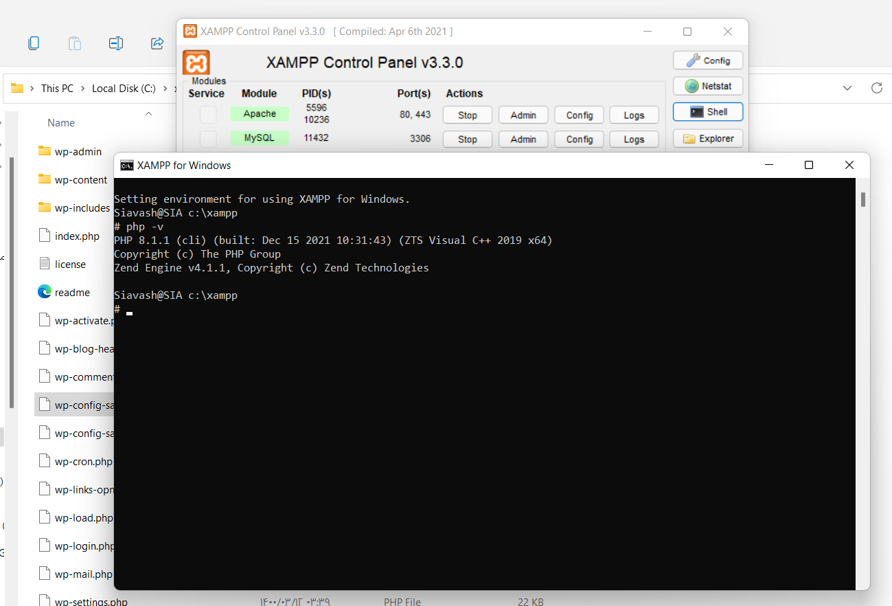 362e-setup_wp_local_Fatal_error4.jpg