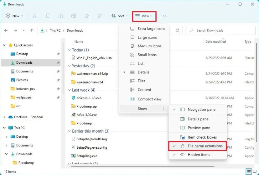 9868-Windows-11-explore-show-file-extensions.jpeg
